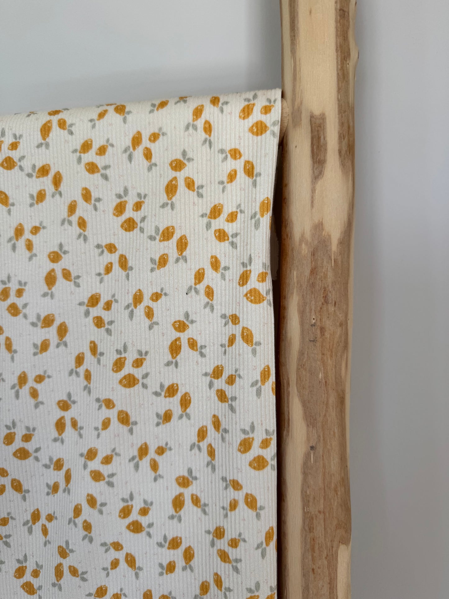 RIBTRICOT CITROEN KLEIN