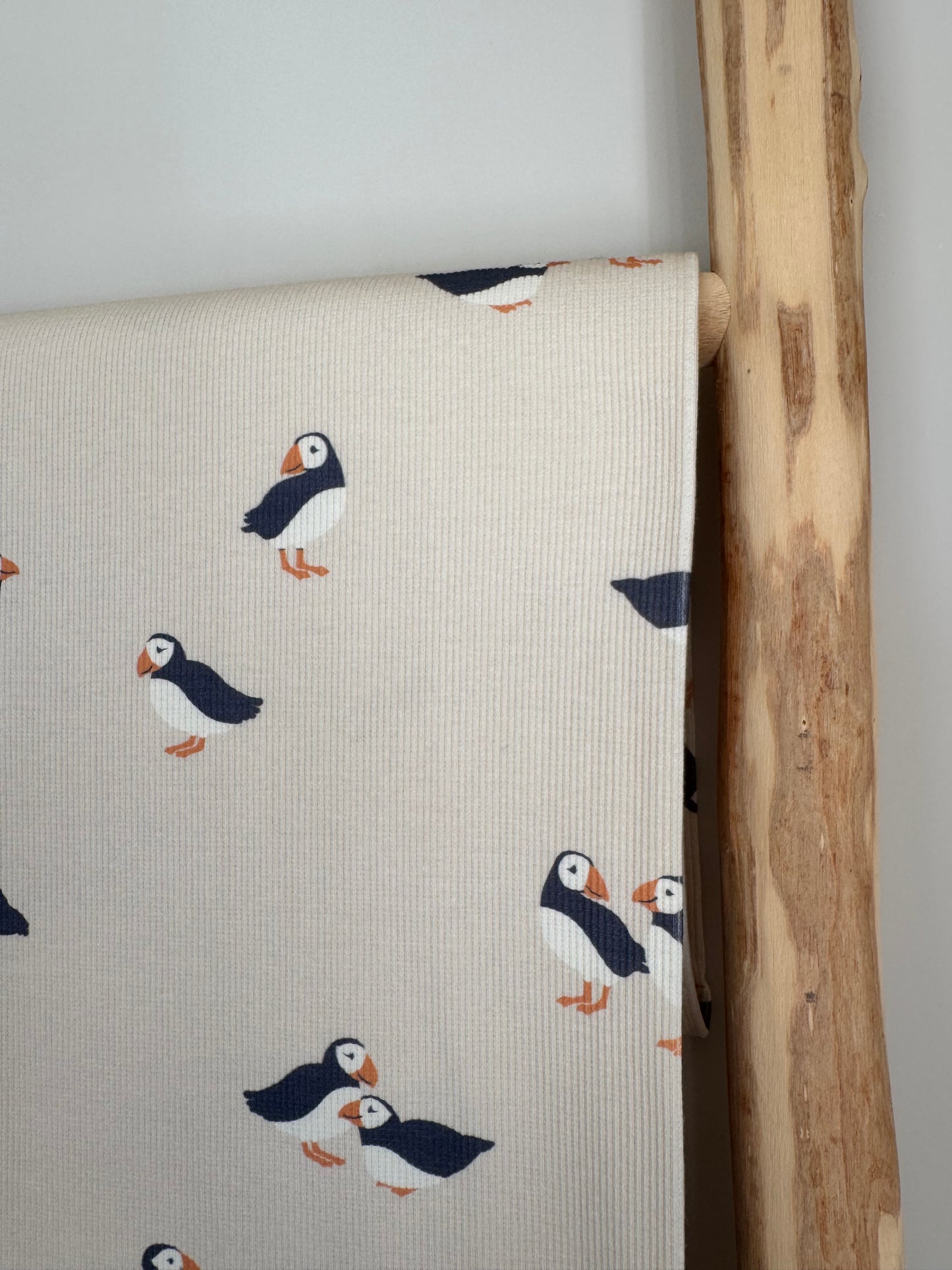 DIEREN | PAPEGAAIDUIKER RIBTRICOT