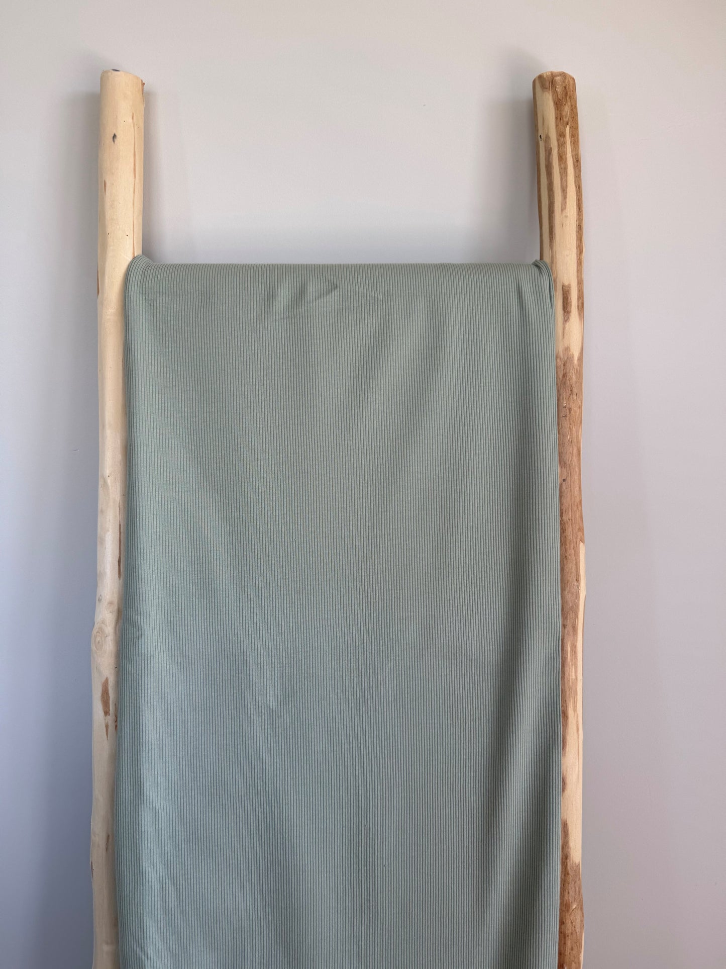 RIBTRICOT DASTY GROEN