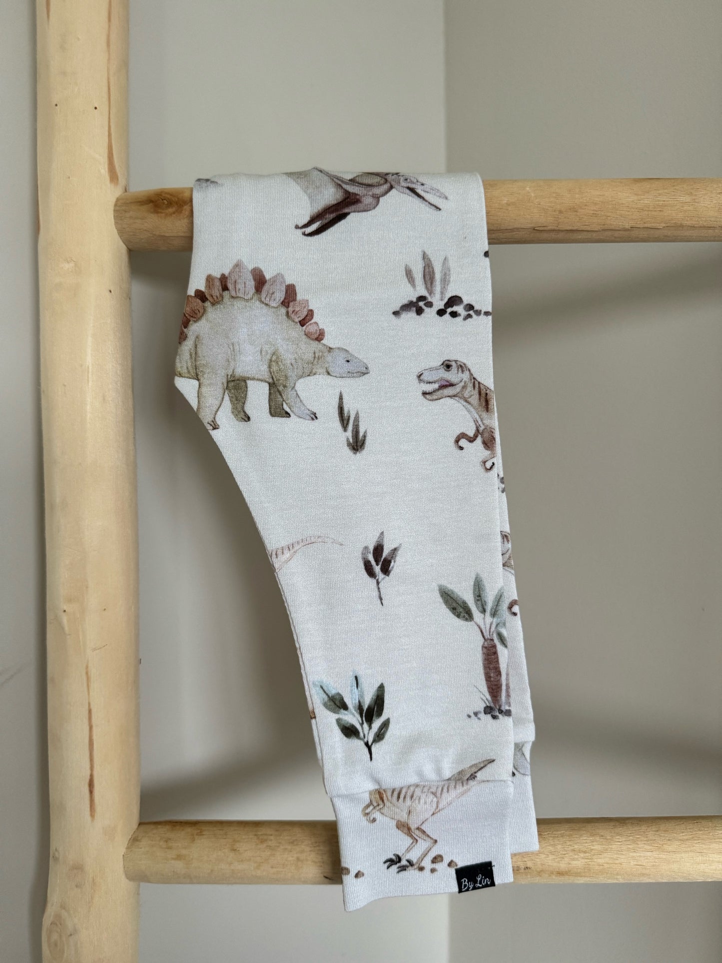 BROEKJE | Dinosaurus