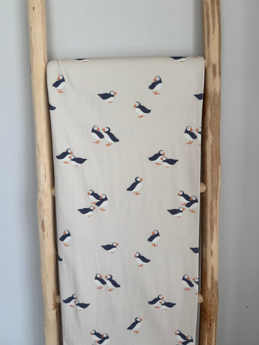 DIEREN |  PAPEGAAIDUIKER RIBTRICOT