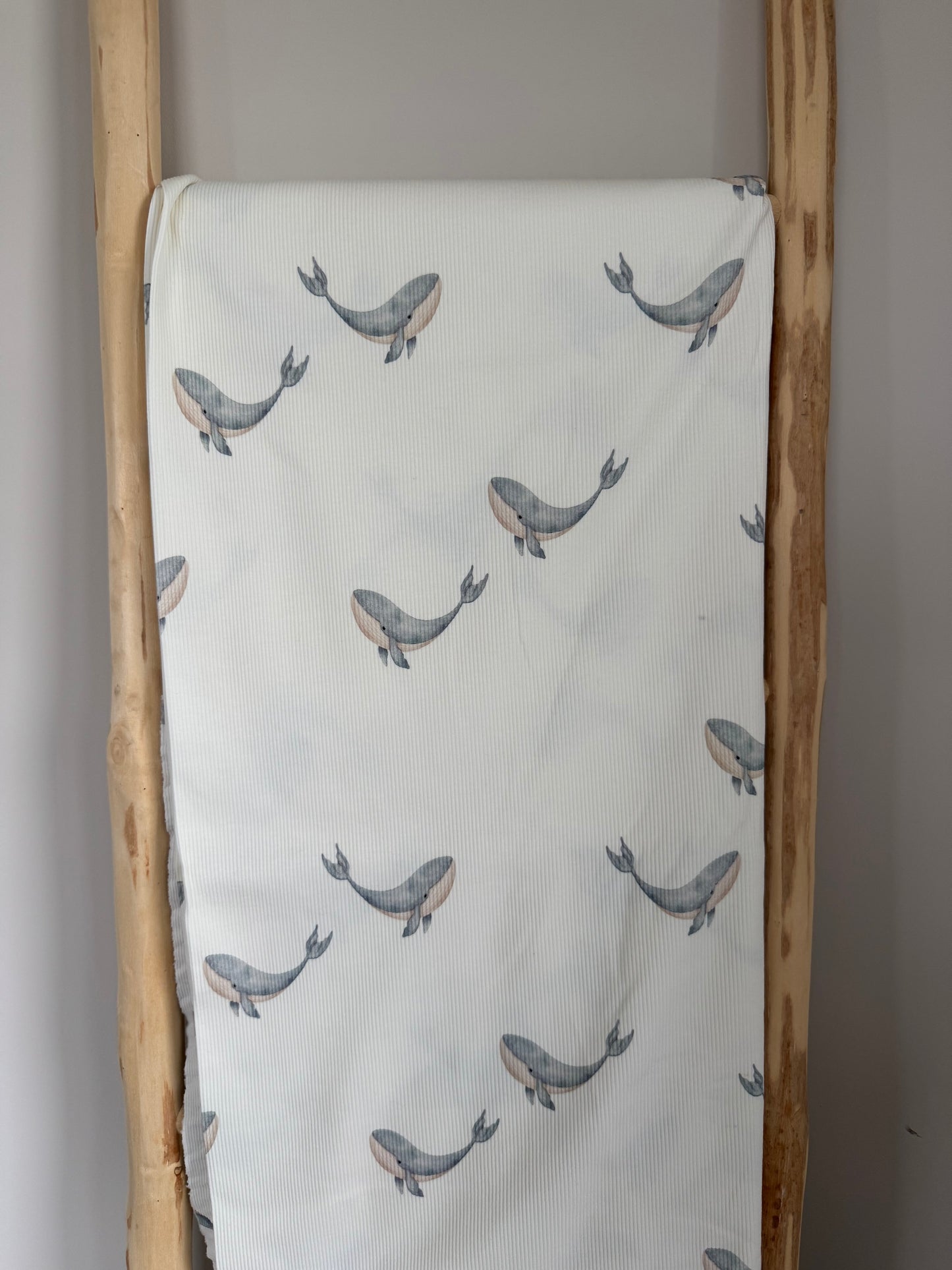 DIEREN | GROTE WALVIS STAALBLAUW RIBTRICOT