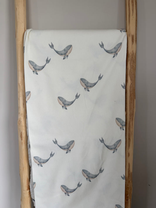 DIEREN | GROTE WALVIS STAALBLAUW RIBTRICOT