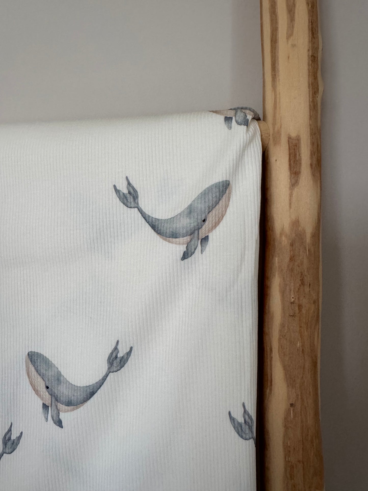 DIEREN | GROTE WALVIS STAALBLAUW RIBTRICOT