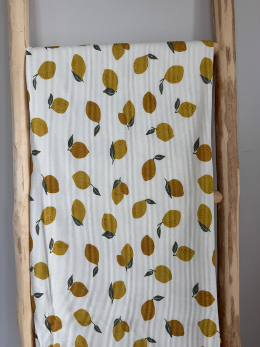 RIBTRICOT CITROEN GROOT