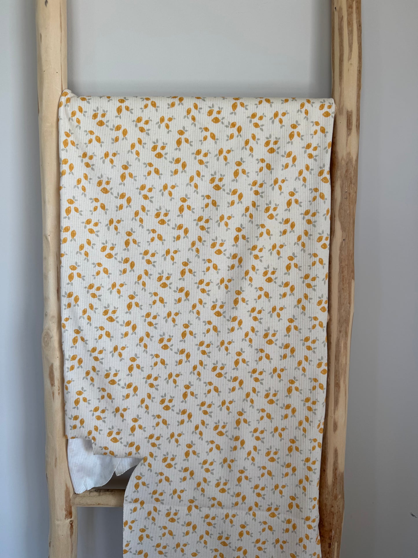 RIBTRICOT CITROEN KLEIN