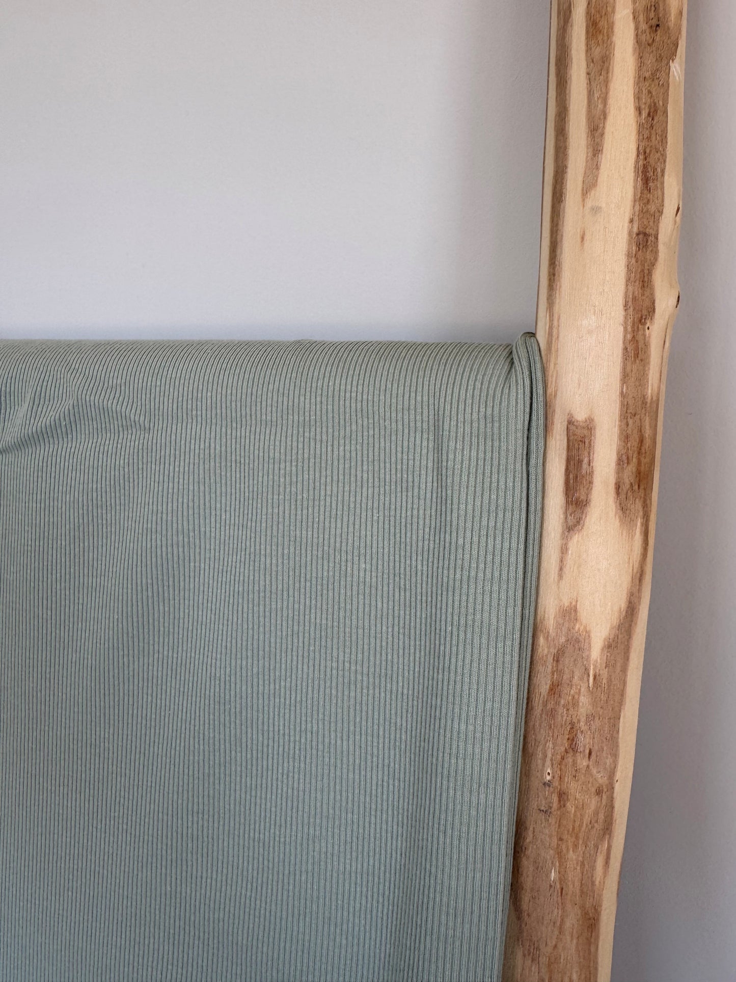 RIBTRICOT DASTY GROEN