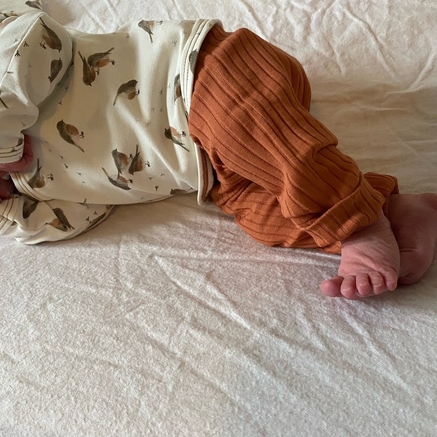 OVERSLAGSHIRTJE MAAT 44| Robin